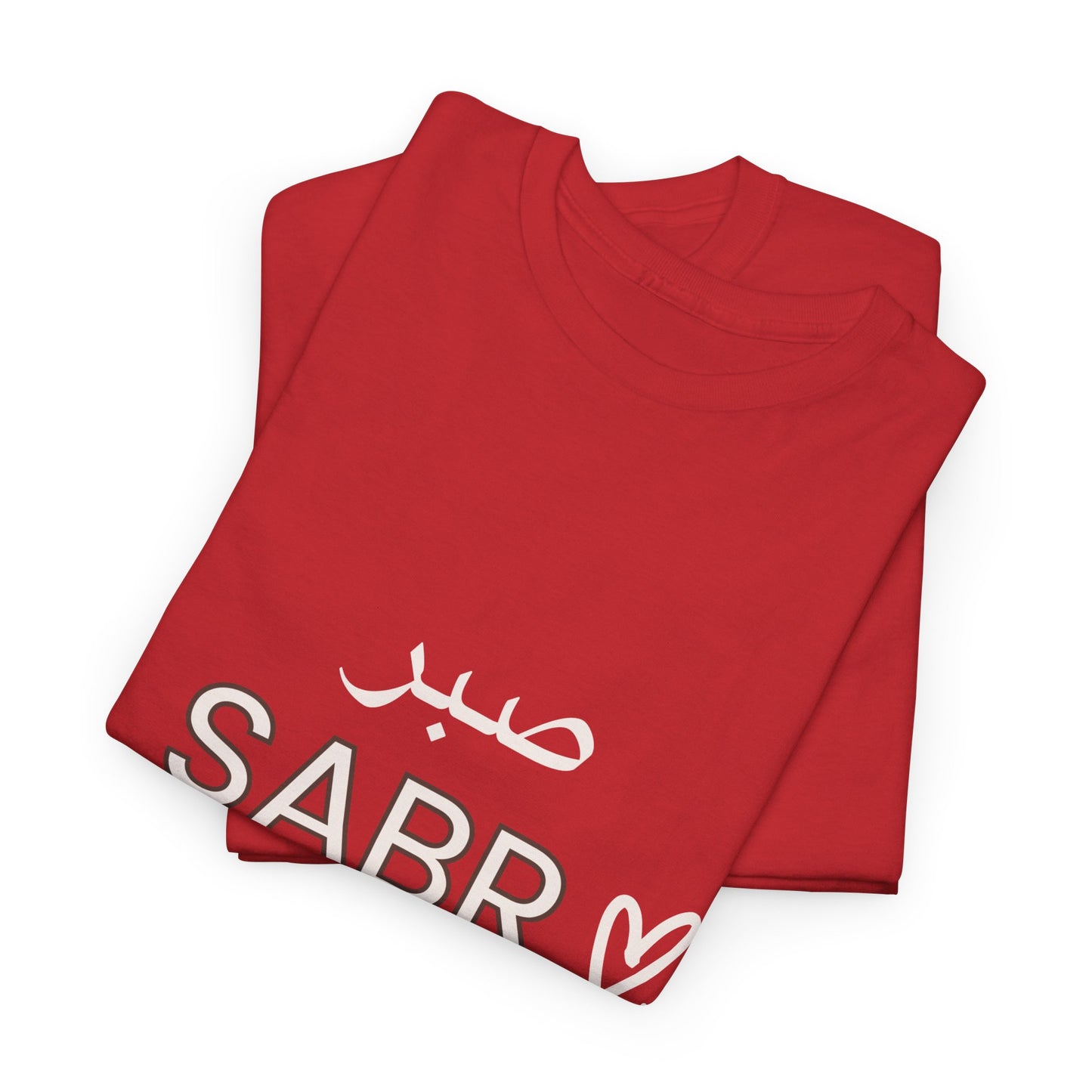 Sabr Printed Regular Fit T-shirt